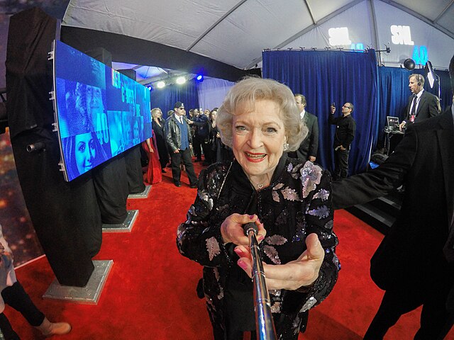 10 Famous Women Who Don’t Have Bio Kids!