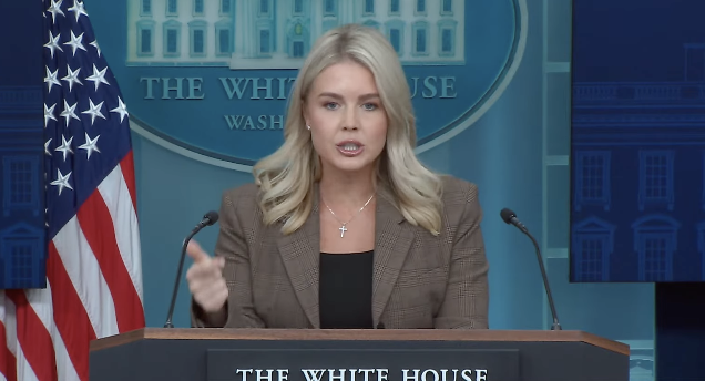 “Tone Down the Judgment”: Leavitt Sparks Firestorm Over Trump’s Plans on Autism, Antifa, and Political Enemies