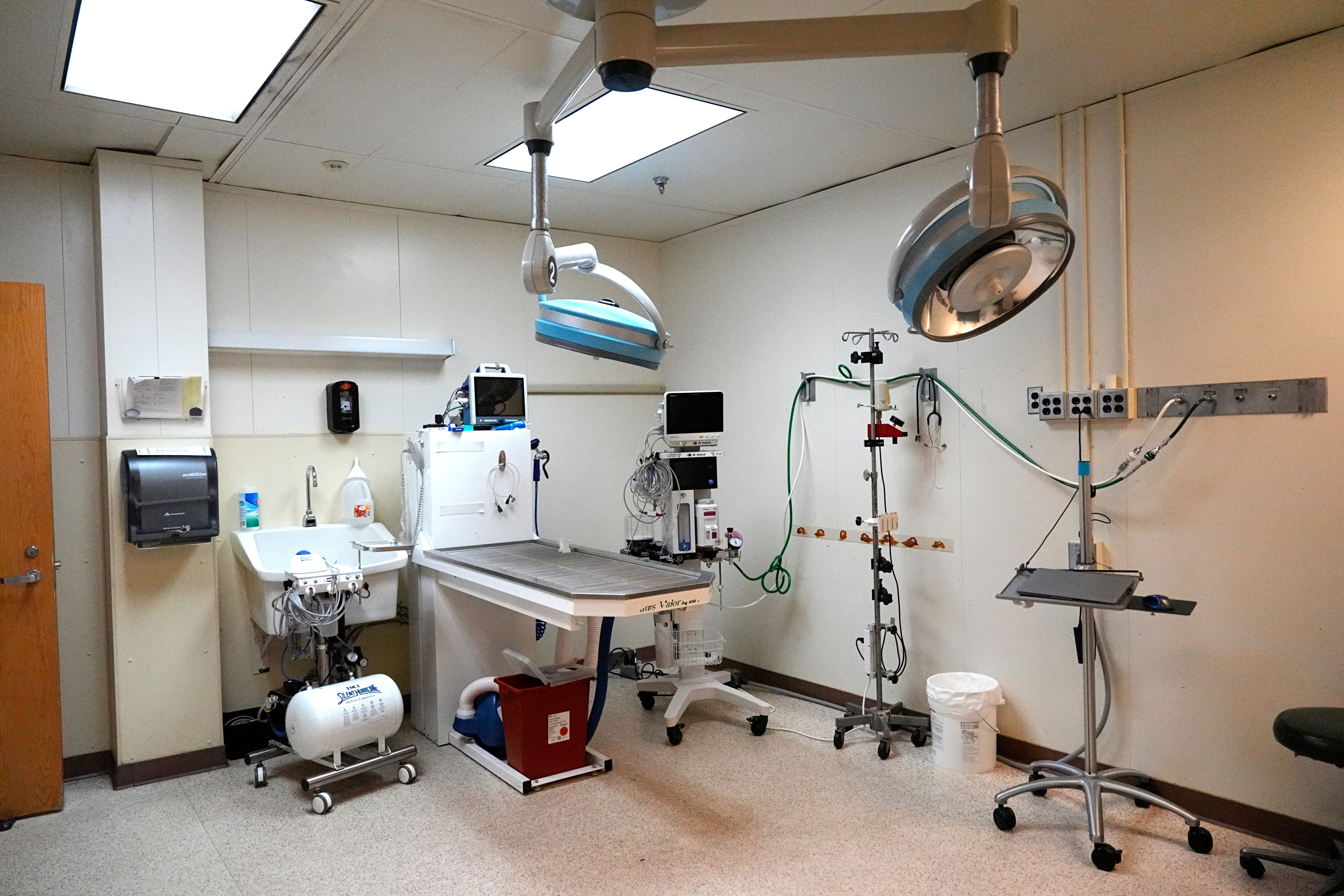 Woman’s Skull ‘Thrown Away’ in Jaw-Dropping Hospital Blunder