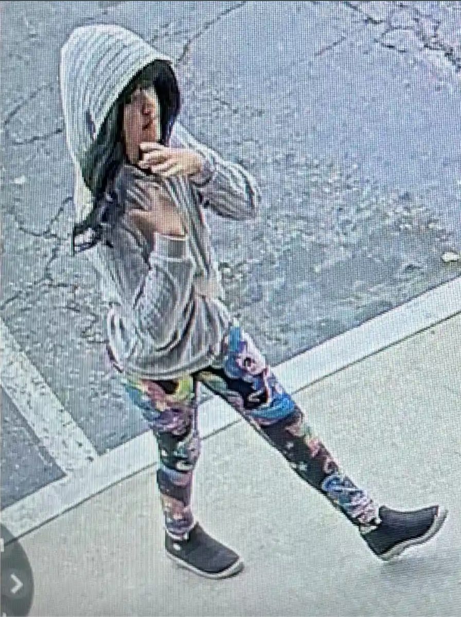 A Wig, a Road Trip, and a Missing Child: The Search for Melodee Buzzard