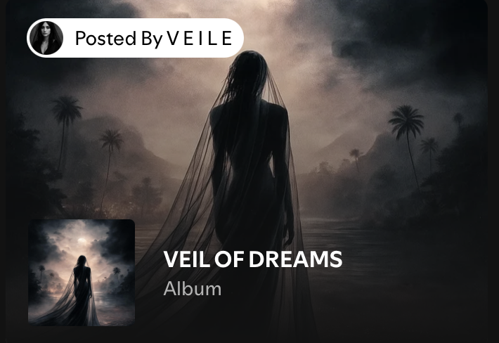 Meet V E I L E: The Female RÜFÜS DU SOL