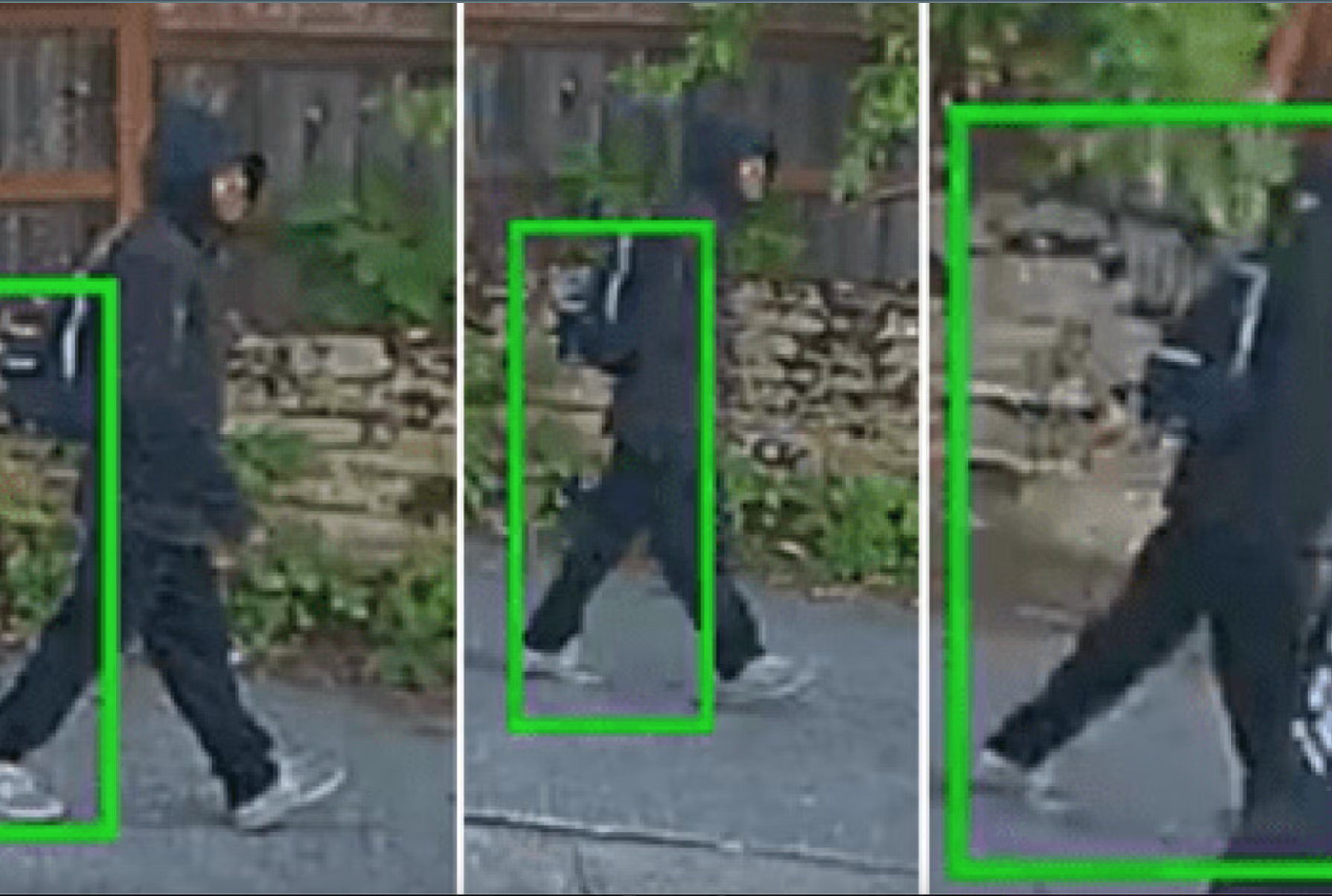 Seattle Grandmother Mauled by Jewelry-Crazed Maniac