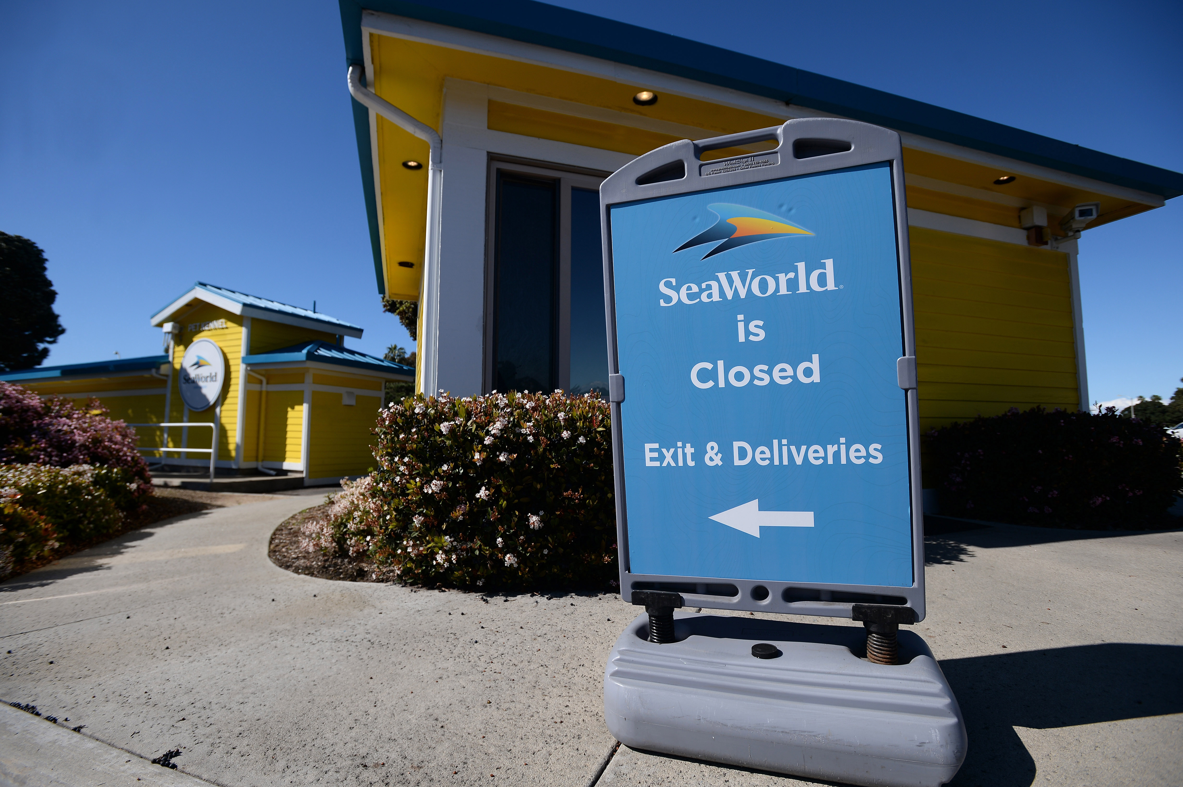 SeaWorld Accused of Duck Assault Cover-Up in Wild Lawsuit
