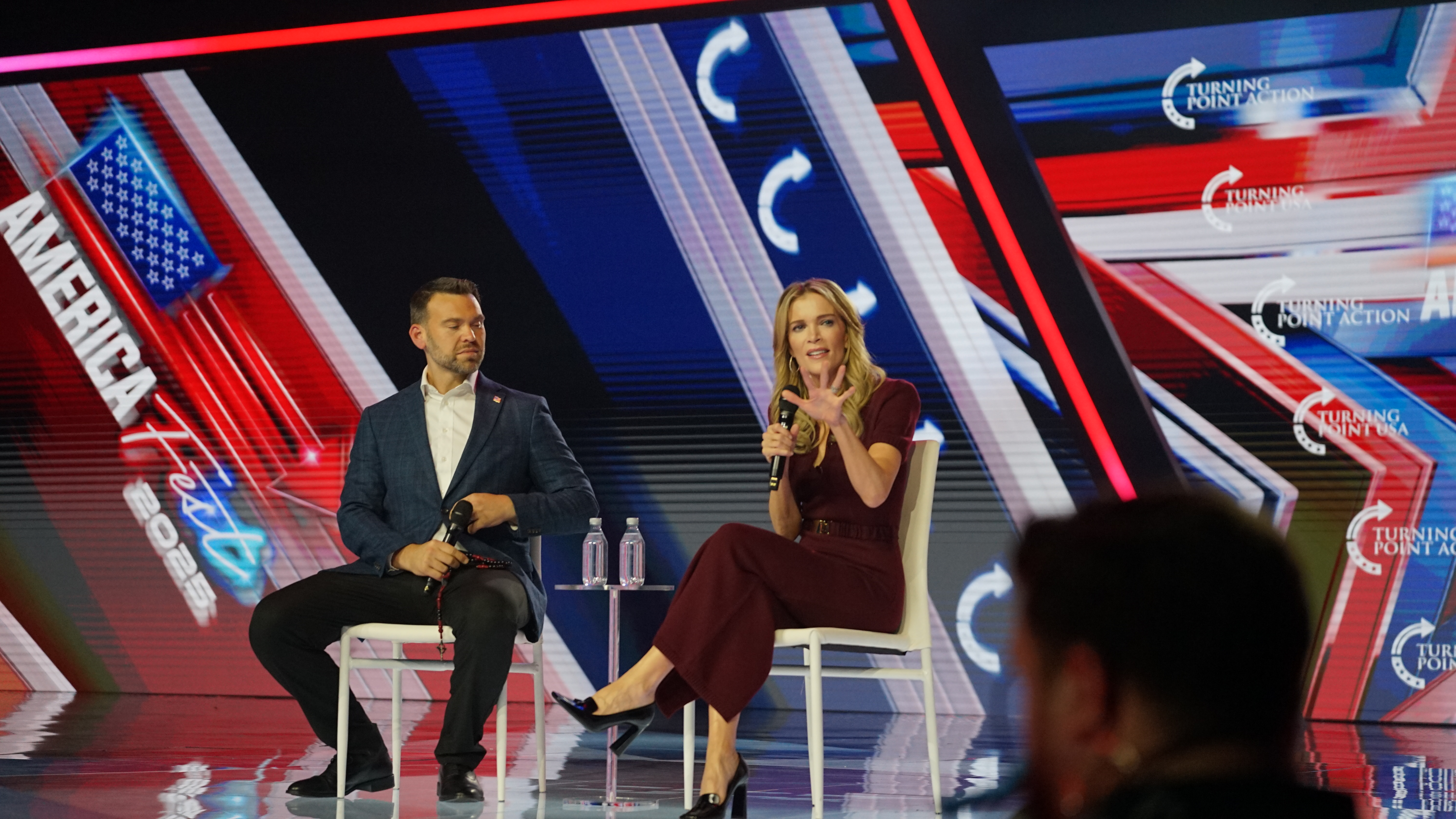 Megyn Kelly Mocks Dems’ Protest Plans