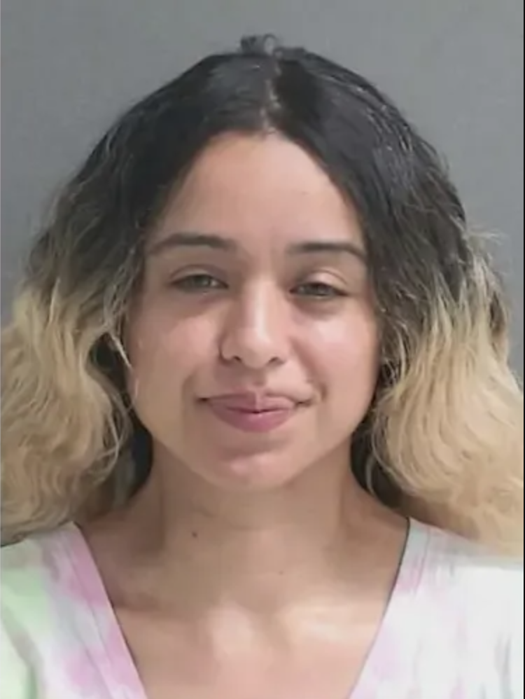 Woman Pleads Not Guilty in Shooting at Rihanna’s Mansion