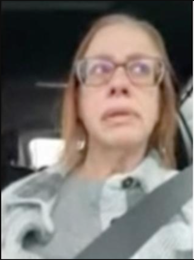 “You Think I’m That Stupid?” Judge Explodes on Woman Driving in Zoom Court