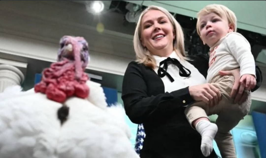 Did Karoline Leavitt Have Unflattering Image Pulled from Getty?