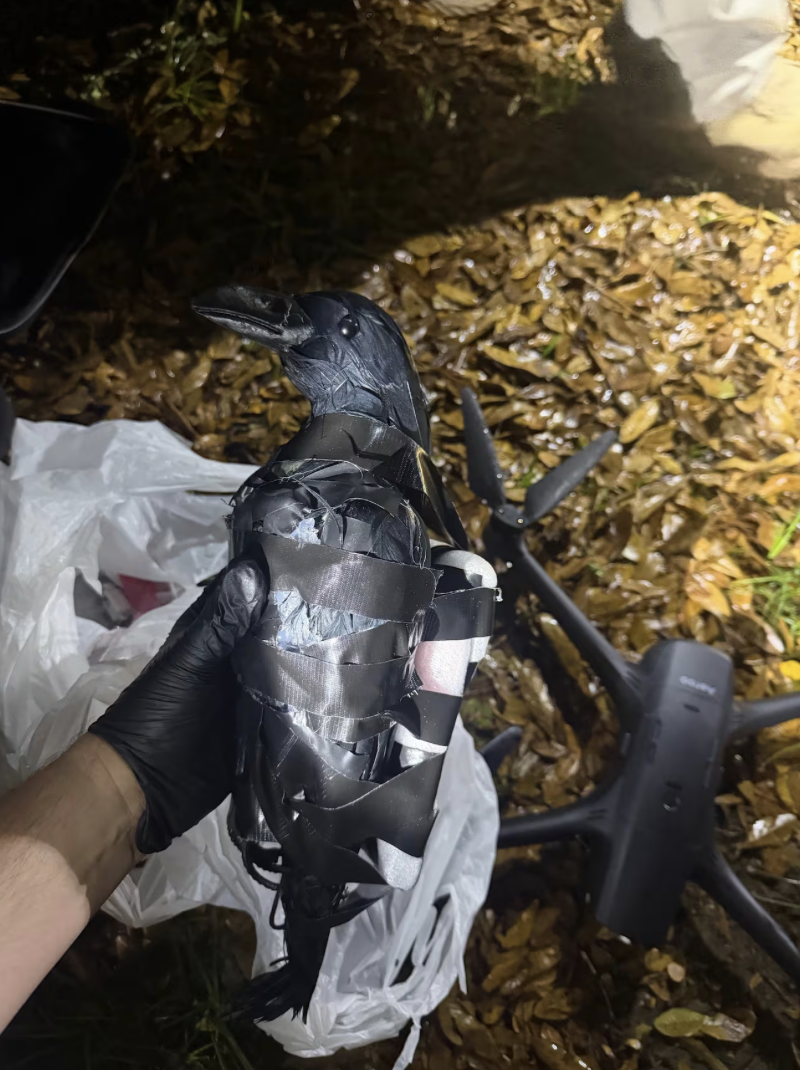 Women Arrested After Drone Drops Fake Crows at Prison