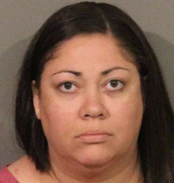 ‘Trusted’ Nanny Accused After Park Incident Filmed