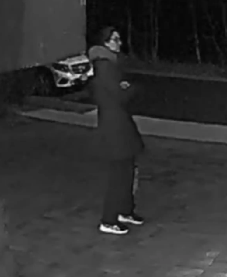 Woman Vanishes After Jumping From Moving Car