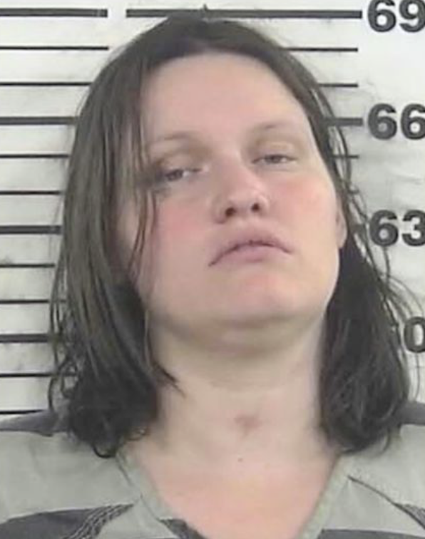 Wife Allegedly Plotted Husband’s Murder Over Custody Battle