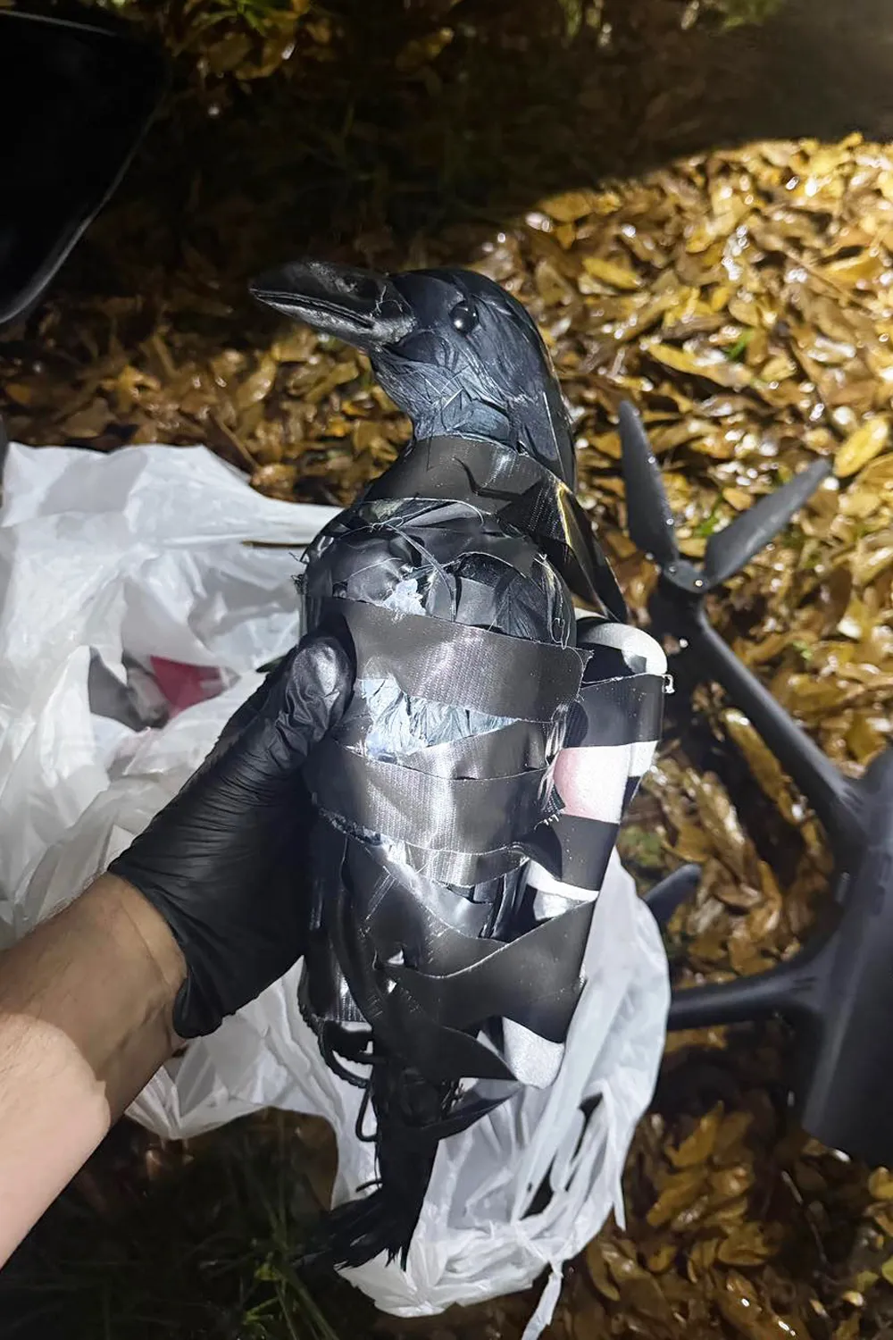 Texas Women Used Drone And Fake Crows In Prison Smuggling Plot