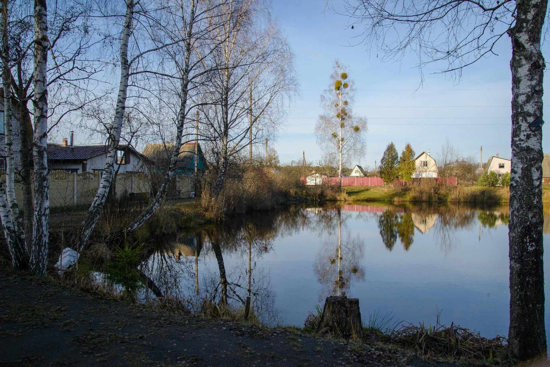 Missing 9-Year-Old Girl Found Dead in Pond Near Home